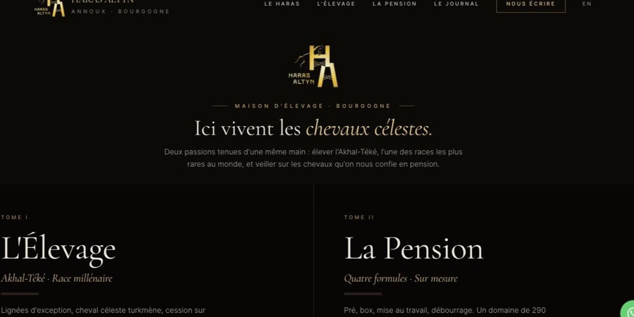 Page d'accueil du site Haras Altyn, réalisée par Efflam Broband